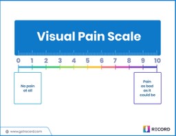 Visual Pain Scale PDF