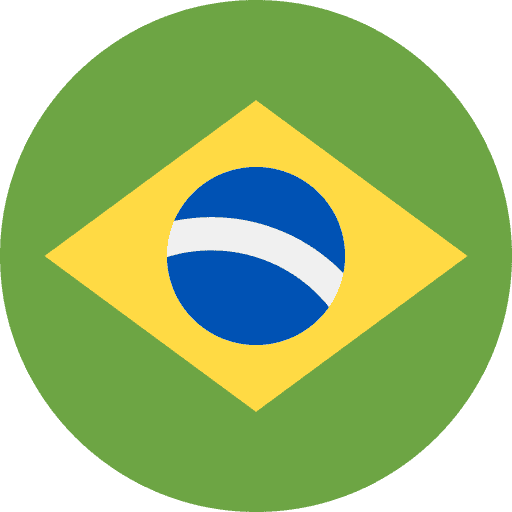 Portuguese Language Portuguese Language